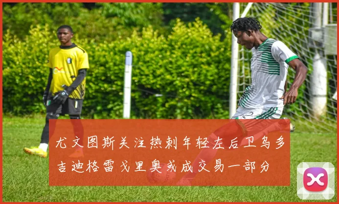 尤文图斯关注热刺年轻左后卫乌多吉迪格雷戈里奥或成交易一部分